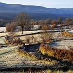 Terras de Barroso