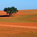 Alentejo