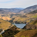 O Douro Vinhateiro