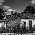 Abandono