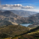 Douro vinhateiro