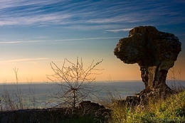 O Guarda Do Castelo 