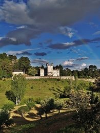 Qta Da Torre De S.antónio 