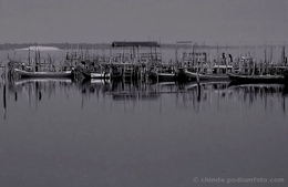 Carrasqueira 