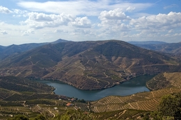 Outra Vista Do Douro 