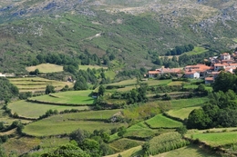 Grafismos Do Gerês 