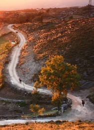 Estrada Das Vacas 