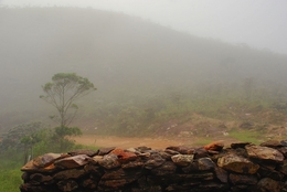 Fog Mineiro 