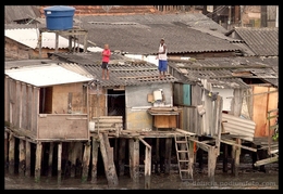 Favela 