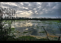 Pantanais 