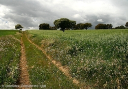 Alentejo 