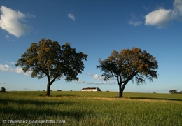 Alentejo 