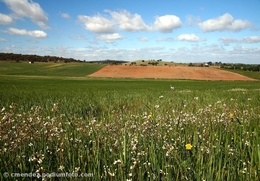 Alentejo 