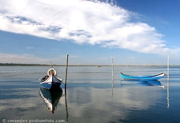 Ria De Aveiro 