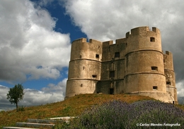 "alentejo" 