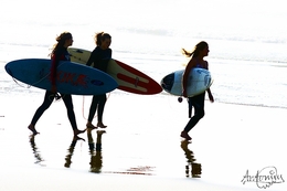 Surfer Girls 