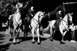 Glamor Equestre 