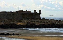 Castelo Do Queijo 