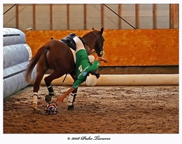 Horseball Na Quinta Da Beloura 