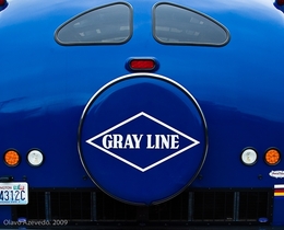 Gray Line 