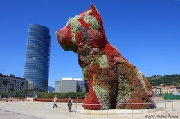 Puppy (Cachorro) Museu Guggenheim, Bilbao_ 