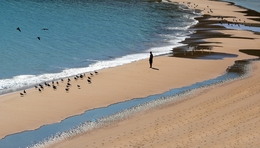 Meditação no Paraíso 