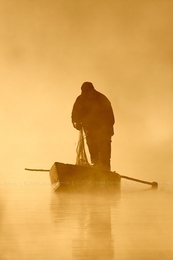 Misty Morning 