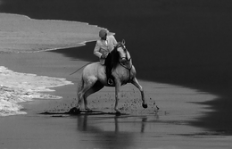 CAVALO BRANCO A COR DO SILÊNCIO 