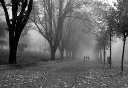 Walking in the fog 