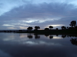 REFLEXOS DA NATUREZA  