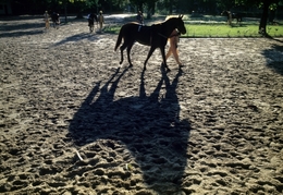 "Sombra de campeão" 