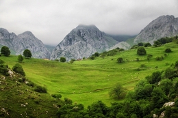 Picos da Europa 