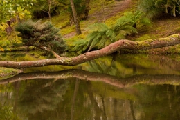 Parque Terra Nostra 