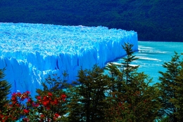 Glaciar Perito Moreno. 