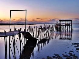 Carrasqueira ao Pôr-do-Sol 