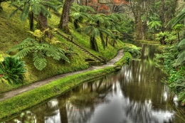 Jardim encantado 