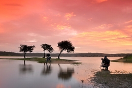 Acordar no Alentejo (com Amigos) 