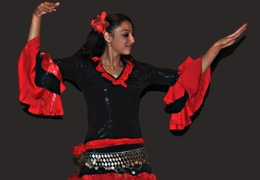 Dança turca 