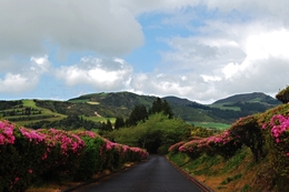 Beleza dos Açores 
