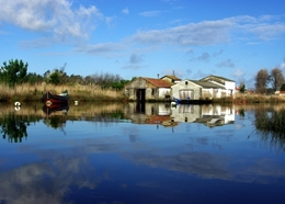 Reflexos da Ria 