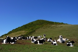 Açores - Graciosas 