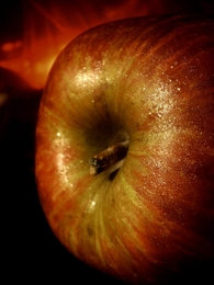 The Apple and the Fire of Love 