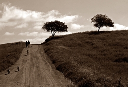 SIMPLEMENTE.....ALENTEJO 