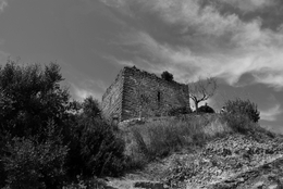 Abandono Patrimonial 