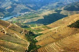 Douro 