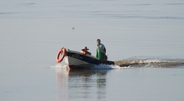 FAINA NO TEJO _ TOILING IN THE TAGUS 