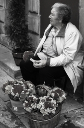 Vendedora de Flores. 