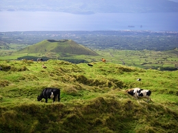 Açores - A pastagem e o vulcão 