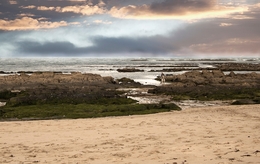 Passeio à beira mar II 