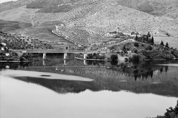 O Douro 